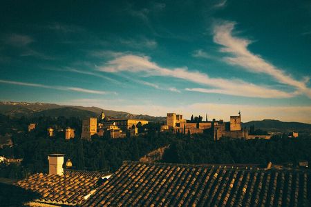 Private Tour to The Alhambra with Nasrid Palaces in Granada