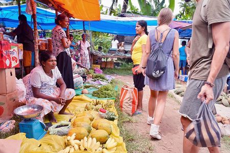 Negombo Market Tour