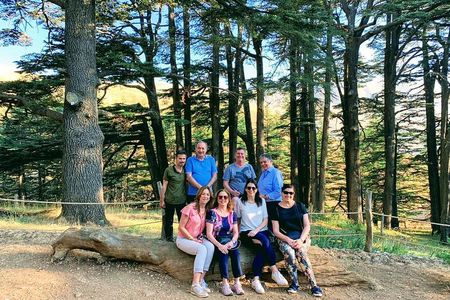Private Trip to Qadisha Valley, Bcharri and Cedars of God 
