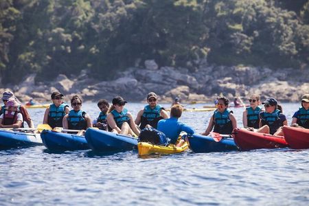 Afternoon Kayaking in Dubrovnik