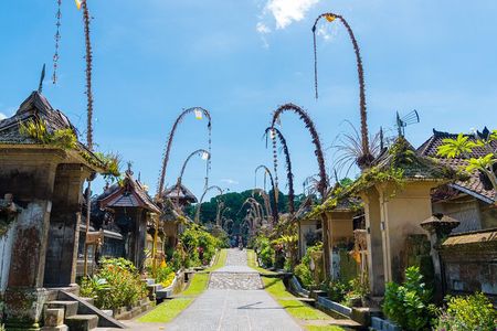 Private Experience: Bali Village Tour