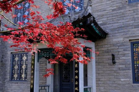 Xi'an 2-Day Private Tour from Chengdu with First Class Bullet Train Experience