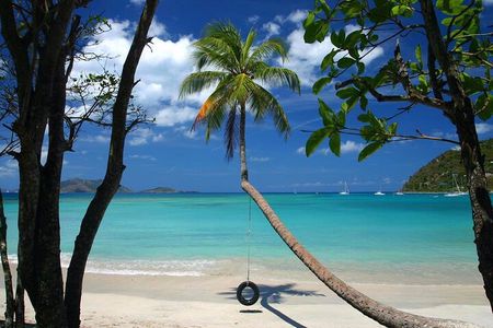 Caribbean Blue Charters - Full Day Boat Charter - 35' Marlin Power Boat