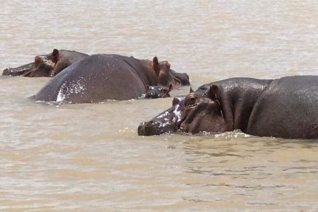 2-Day private Tour in Bahir Dar and Blue Nile falls 