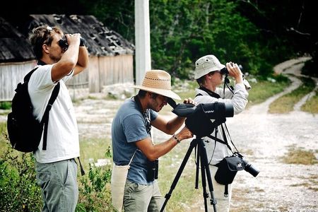 Birdwatching in Sian Ka´an Muyil from Tulum
