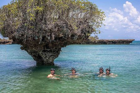 Private Full-day Safari Blue Trip with Lunch buffet