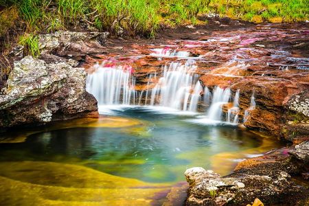 3-Day Trip to Caño Cristales (the River of Many Colors)