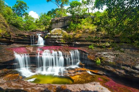 4-Day Trip to Caño Cristales (the River of Many Colors) and the Jungle