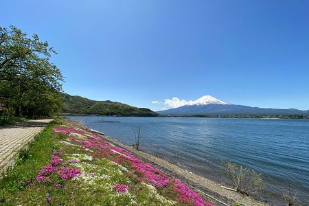 Mt Fuji Half-Day Tour By Car