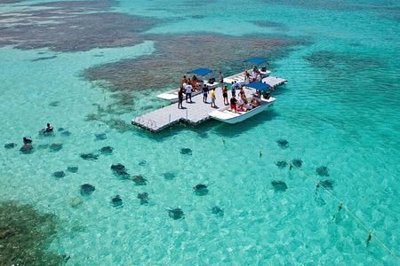 Stingray City