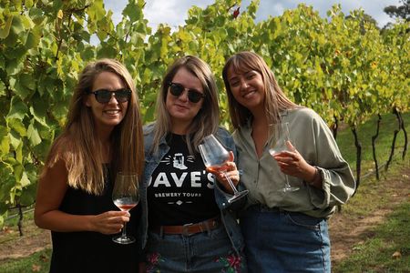 Hunter Valley Small Group Wine, Gin, Cheese & Chocolate Tour from Hunter Valley 