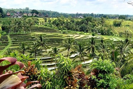 Tanah Lot and Jatiluwih Unesco Rice Terrace Private Tour