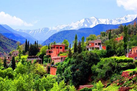 Marrakech: Atlas Mountains and 4 Valleys Tour