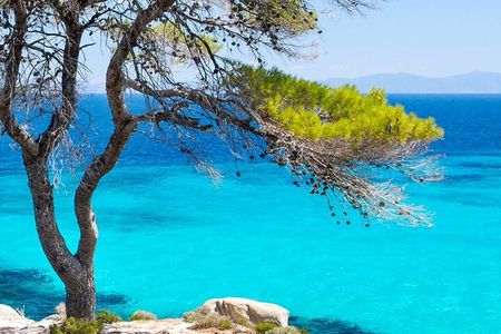 Swimming and relax in beautiful beaches.(Small group) 