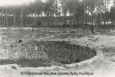 Half Day Private Jewish Vilnius Tour with a Litvak: Jewish Quarter, Ponar Forest