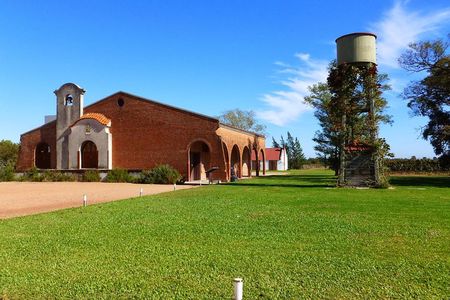 Wine cellar & Tasting in Montevideo with Outstanding Lunch