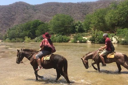 Horses on The Beach or Hot Springs