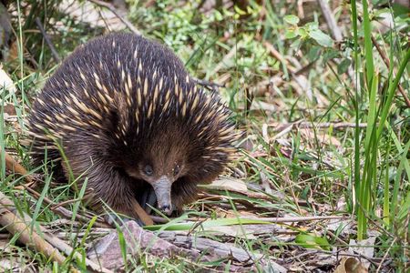 Melbourne to Great Ocean Road & Grampians 3 Day Escape