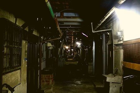 Deep Backstreet Osaka Tours (Option to add Dinner)