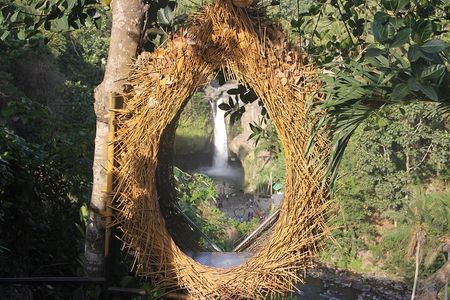 Ubud Day Tour - Top Things to do in Ubud + Local Ubud Guide 