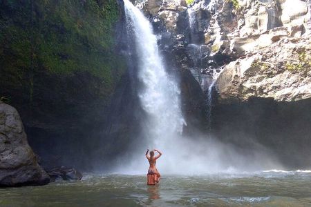 Best of Bali : Bali Temples , Rice Terrace and Waterfall Tour 