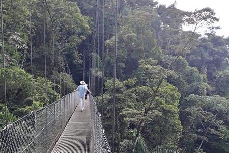 Hanging Bridges Nature History Private Walking Tour