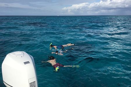 Private Half Day Stingray City, Snorkeling and Starfish Beach Tour