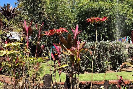 The Grand Tour of St. Kitts