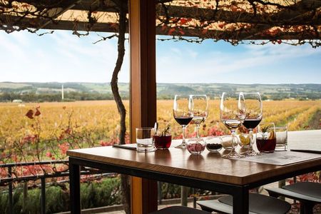 McLaren Vale Wine Tour, Max 6, Chef's menu lunch, from Adelaide