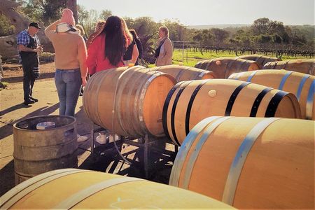 Secret Delights: Wine, Coffee, Artisan and Forest Tour