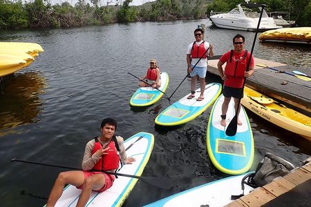 Stand Up Paddling Mangrove Lagoon Tour