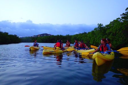 St Thomas Night Kayak Tour