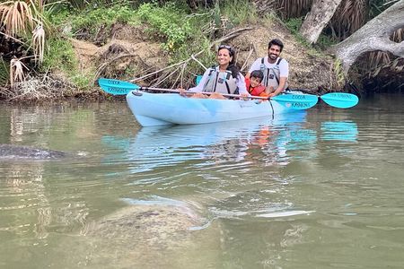 Wildlife Refuge Manatee, Dolphin & Mangrove Kayak or Paddleboarding Tour!