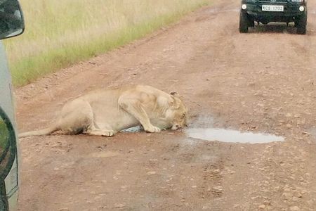 Day trip to Lake Nakuru National Park