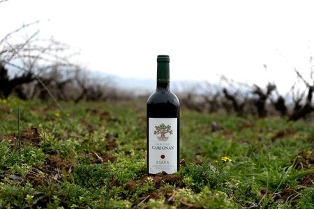 Journey Through Lebanese Wine: A Private Tour in the Beqaa Valley