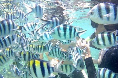 Gili Asahan Snorkeling Tour