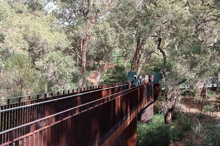 Kings Park Botanicals And Beyond