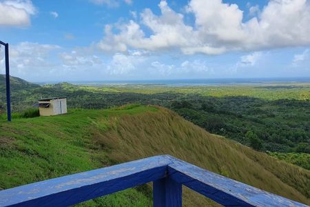 Safari Full Day VIP Experience