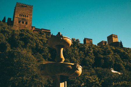 Private Tour to The Alhambra with Nasrid Palaces in Granada