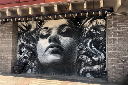 RoRo Street Art Tour in Phoenix