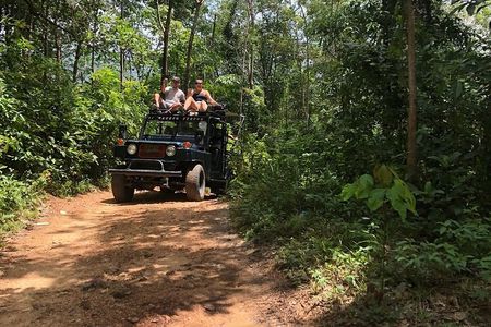 Eco Jungle Safari Tour around Koh Samui Including Lunch