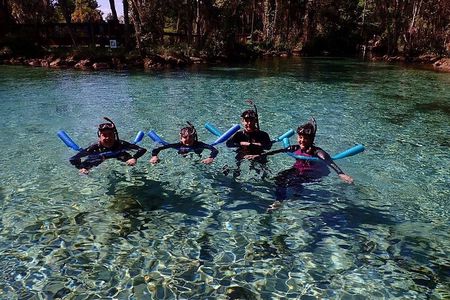 Manatee Snorkeling Tour with Photographer