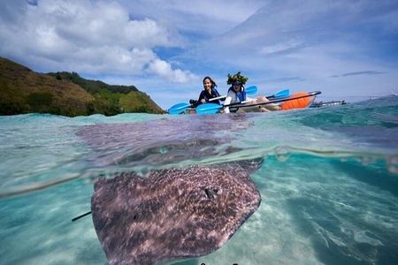 Eco guided excursion to the lagoon of Moorea in a transparent kayak Afternoon 2h