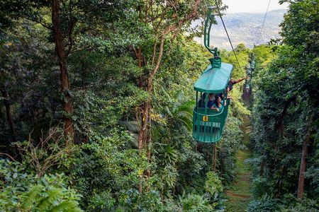 St. Lucia Aerial Tram Tour at Rainforest Adventures