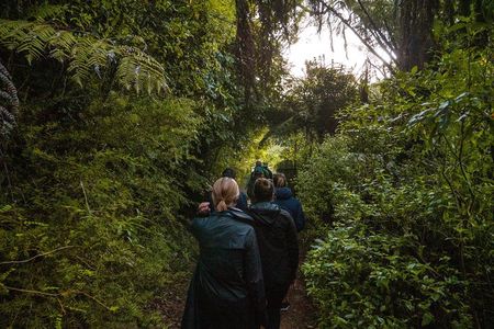Zealandia - Twilight Guided Eco Wildlife Tour