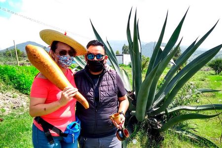 Tour de Pulque en Tepotzotlán, Pueblo Mágico