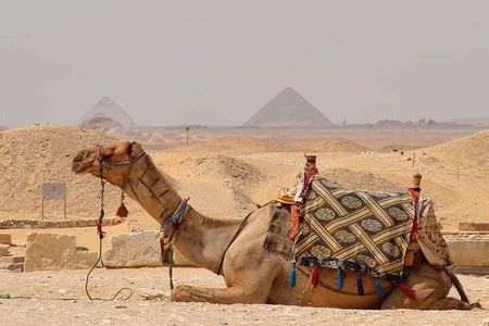 Sunrise or Sunset Horse carriage Ride at Pyramids Desert