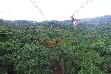 Zipline Canopy Tour with Transport from San Juan