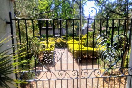 Frankly Charleston Morning Walking Tour 