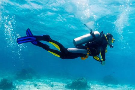  Diving Full Day Boat Trip - Marsa Alam